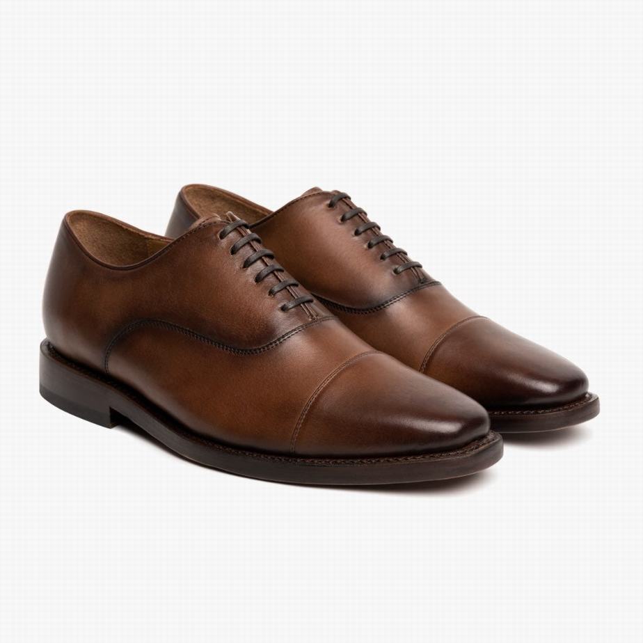 Thursday Boots Executive Elegáns Cipő Férfi Brandy | CKC5487EG