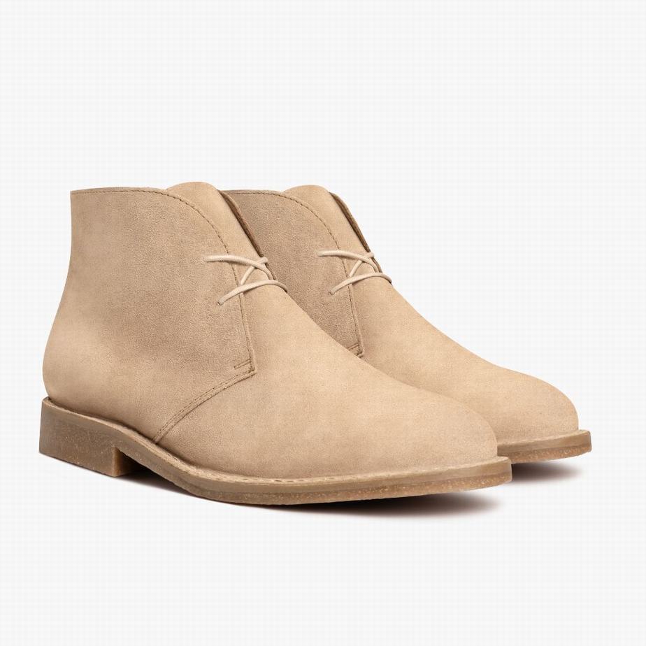 Thursday Boots Scout Chukka Bakancs Férfi Dune | KTI9659SA