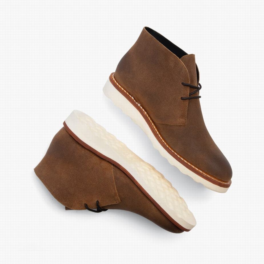 Thursday Boots Scout Chukka Bakancs Férfi Safari | FNO3553QI